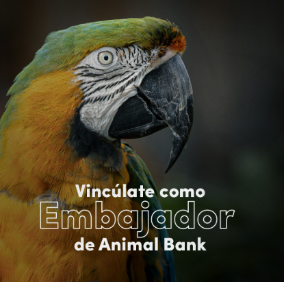 Embajador Animal Bank