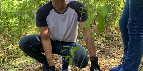 ABC de la biodiversidad para mpresas